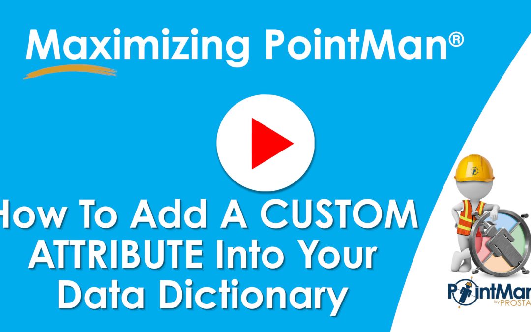 How to Add a Custom Attribute Into Your Data Dictionary