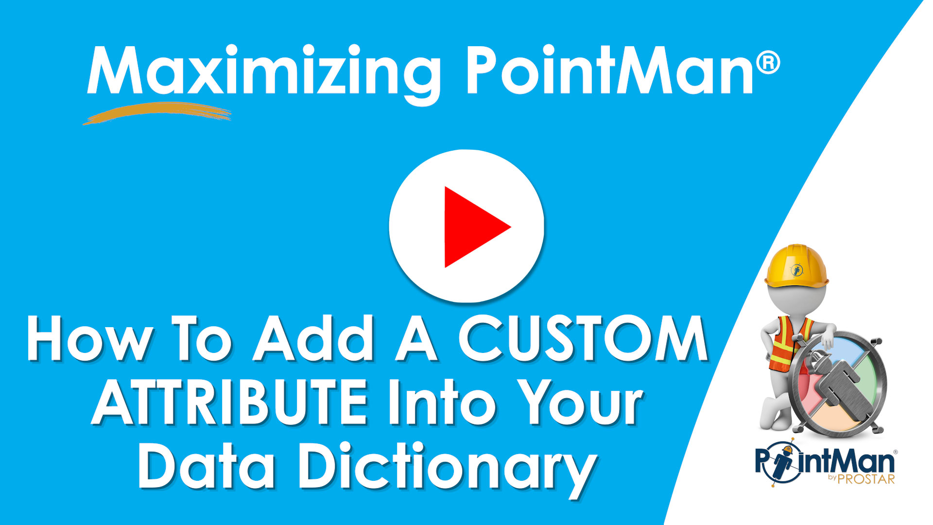How to Add a Custom Attribute Into Your Data Dictionary - PointMan